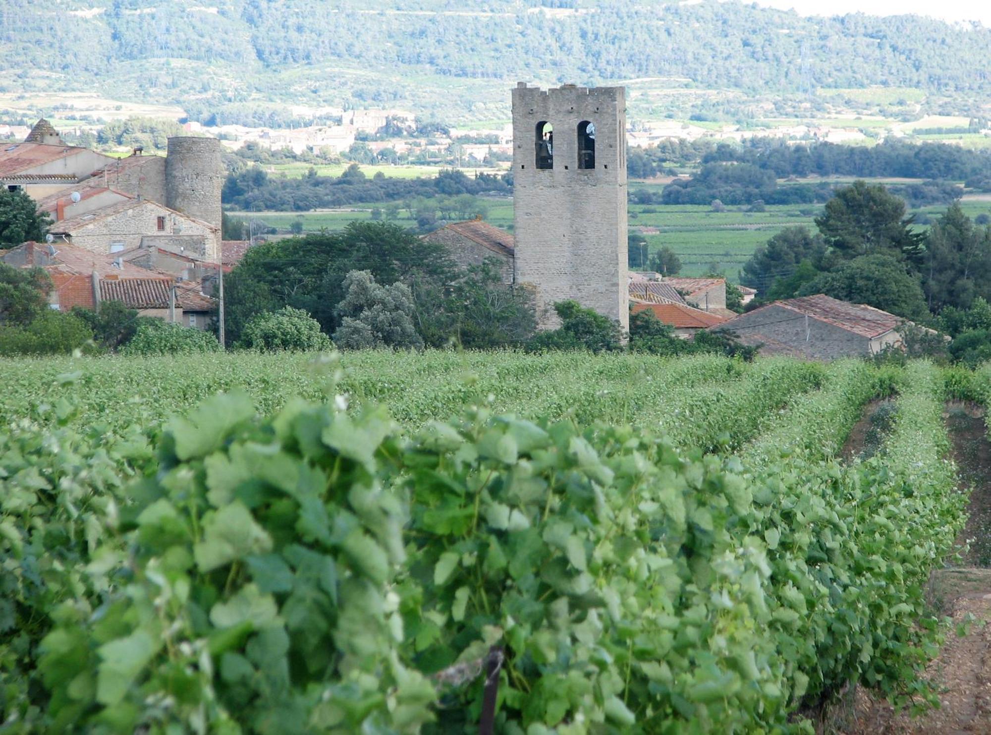 Maison Vigneronne De Bonne Maman - Climatisee Cesseras Dış mekan fotoğraf