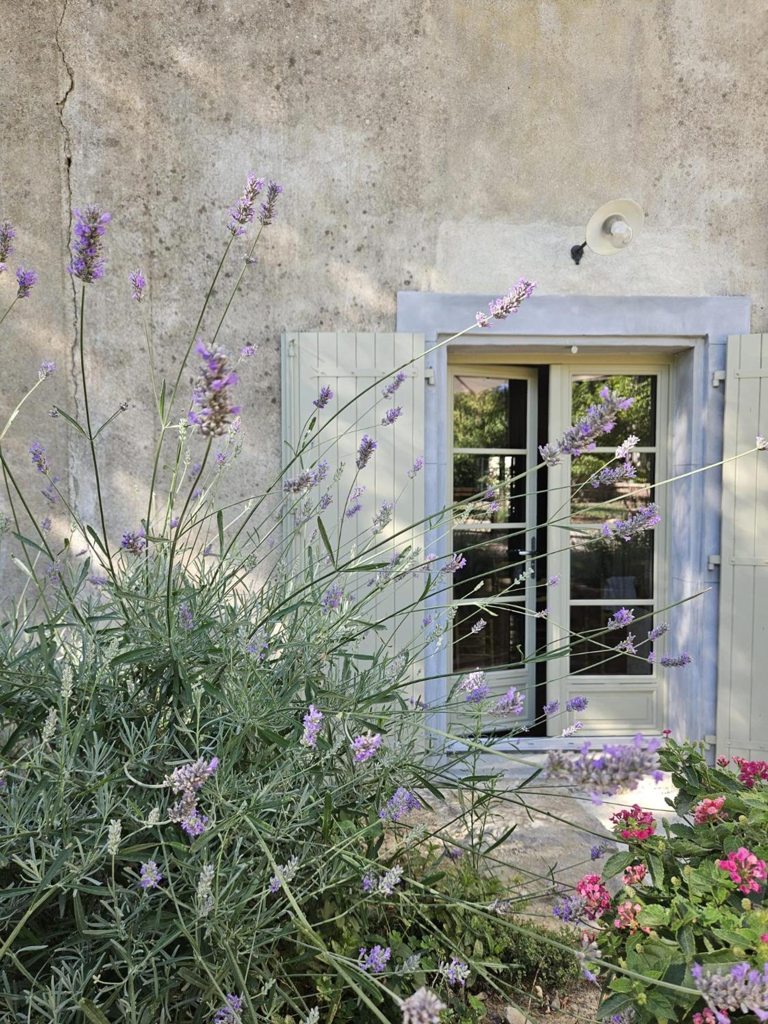 Maison Vigneronne De Bonne Maman - Climatisee Cesseras Dış mekan fotoğraf